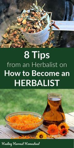 Have you wanted to learn how to use natural remedies so you can get rid of the toxins and live a healthier life? Do you want to know what to do to stay well during the cold and flu season and how to handle illness quickly and effectively so you can get well again faster? Here are 8 tips for becoming a home herbalist so you can use herbs safely and effectively for your family’s health. #herbalist #home #naturalremedy #homeremedy #howto #become #stayhealthy Natural Hemroid Remedies, Natural Add Remedies, Natural Remedies For Migraines, Natural Healing Remedies, Cold Home Remedies, Herbs For Health, Natural Health Remedies, Medicinal Herbs, Natural Home Remedies