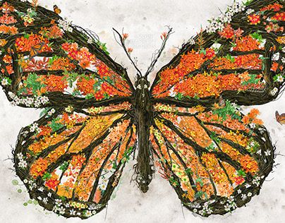 Check out new work on my @Behance profile: "Monarch Butterfly digital collage photomanipulation art" http://be.net/gallery/84100503/Monarch-Butterfly-digital-collage-photomanipulation-art Wood Gallery Frames, Butterfly Canvas, Nature Posters, Animal Canvas, Paul Klee, Canvas Print Display, Animal Posters, Wassily Kandinsky, Monarch Butterfly