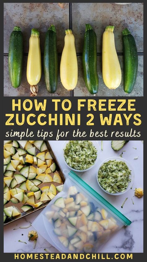 Freezing Sliced Zucchini, Recipes To Use Up Zucchini, Freeze Vegetables How To, Can I Freeze Zucchini, Best Way To Preserve Zucchini, Freezing Zucchini Without Blanching, Zucchini Recipes From Frozen, Summer Squash Storage, How To Freeze Fresh Zucchini