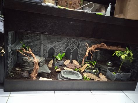 Modern Snake Enclosure, Gothic Reptile Enclosure, Bearded Dragon Apartment, Themed Snake Enclosure, Gothic Snake Enclosure, Goth Snake Enclosure, Aesthetic Snake Enclosure, Uromastyx Enclosure, Diy Snake Enclosure