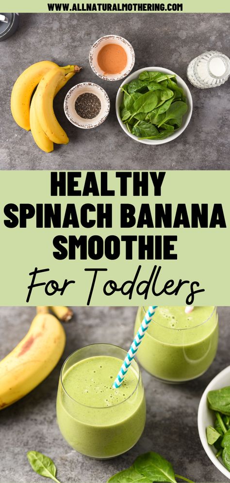 green smoothie Banana Spinach Peanut Butter Smoothie, Spinach Breakfast Smoothie, Spinach Smoothie Recipes For Kids, Peach Spinach Smoothie, Baby Spinach Smoothie Recipes, Smoothie With Spinach And Fruit, Spinach Banana Smoothie Recipes, Spinach Toddler Recipes, Smoothie For Toddler