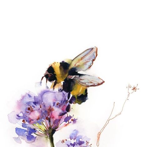 Sophie Rodionov Artist on Instagram: "Bumblebee on a flower Watercolor and ink on paper 🔸Gicleé Fine Art Prints, printed on watercolor archival 100% cotton paper or canvas with archival inks and based on my @canotstoppainting original paintings. 🔖 available in a various sizes from 5x7” to 30x40” framed and unframed via active link in a bio. #watercolordrawing #watercolourart #watercolorartwork #sketchpainting #aquarelleartist #watercolorispiration #watercolorpainting #watercolorartsketches # Bees And Flowers Painting, Bee Water Colour Painting, Bumblebee Watercolor Paintings, Bumblebees Drawing, Bumble Bee Watercolor Paintings, Watercolor Bee Tutorial, Watercolor Bee Tattoo, Watercolor Honeybee, Bees Watercolor