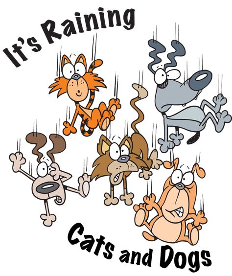 It's Raining Cats and Dogs here!! - Mommies Reviews Cold Weather Funny, It's Raining Cats And Dogs, Good Morning Rainy Day, Dog Clip Art, Dogs Laughing, Good Morning Funny Pictures, Cat Humor, Raining Cats And Dogs, Good Morning Funny