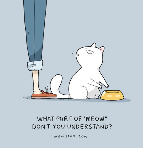 Animal Comic Katt Diy, Katt Grejer, Koci Humor, Cat Comics, Image Chat, Cat Quotes, Cats Meow, American Horror Story, 귀여운 동물