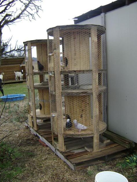 Reban Ayam, Wire Spools, Chicken Coup, Diy Chicken Coop Plans, Coop Plans, Building A Chicken Coop, Chicken Coop Plans, Backyard Chicken Coops, Rabbit Hutches