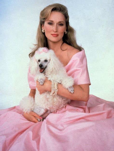 Man’s best friend has been no stranger to Hollywood legends over the years, from Audrey Hepburn’s iconic poodle in Sabrina, to Gigi Hadid’s bulldog and Meryl Streep’s groomed pup, take a look at 29 photos of the celebrities with their loyal companions. Iron Lady, The Black Swan, White Poodle, Positive Dog Training, Ginger Rogers, Lauren Bacall, Best Dog Training, My Fair Lady, Lucille Ball