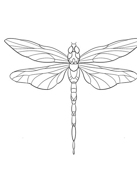 Dragon Fly Drawings, Dragonfly Outline, Linework Design, Printable Drawings, Dragonfly Drawing, Fly Drawing, Flash Ideas, Drawing Animals, Butterfly Tattoos