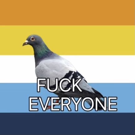 A Rainbow, Pigeon, Flag, Rainbow, White