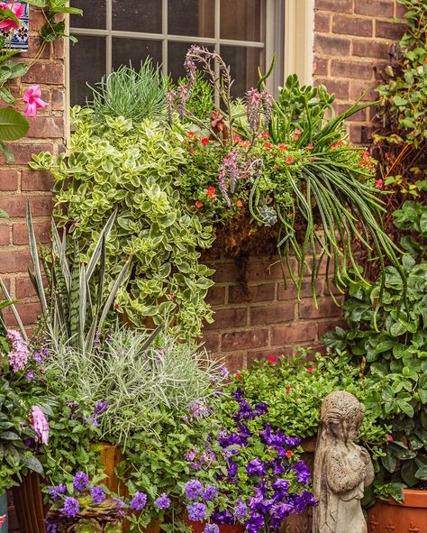 Kitchen window container garden grouping Hanging Planter Ideas, Fall Window Boxes, Outdoor Garden Planters, Window Plants, Orange Plant, Window Box Flowers, Fall Planters, Flower Window, Window Planter Boxes