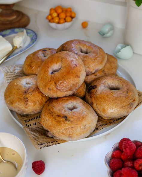 New York-Style Blueberry Sourdough Bagels Blueberry Sourdough Bagels, Sourdough Blueberry Bagels, Meal Plan List, Bagel Breakfast Bake, Blueberry Sourdough, Blueberry Bagels, Sourdough Scones, Baking Soda And Honey, French Toast Bites