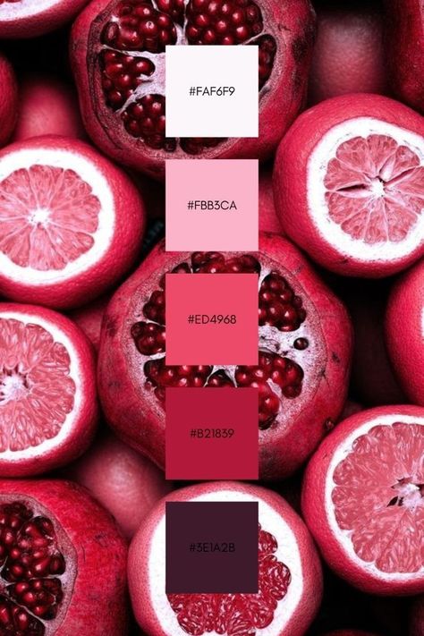 Pink Red Palette, Color Pallets Aesthetic, Pink And Red Color Palette, Color Schemes Red, Website Color Palette, Color Design Inspiration, Hex Color Palette, Red Colour Palette, Color Schemes Colour Palettes