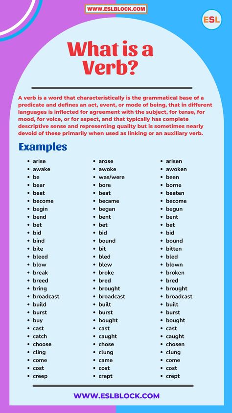 What is a Verb in English Grammar? We’ll explain the meaning of a verb, how to use verb, types of verbs, and provide a variety of examples of verb in English. When you’re learning English grammar, you’ve to deal with the verb. But what exactly is it? And what does verb do in a sentence? ... Read more What Is A Verb, Verb Types, Learning English Grammar, Verbs For Kids, Types Of Verbs, Verbs In English, Verb Words, English Grammar Notes, Verb Examples