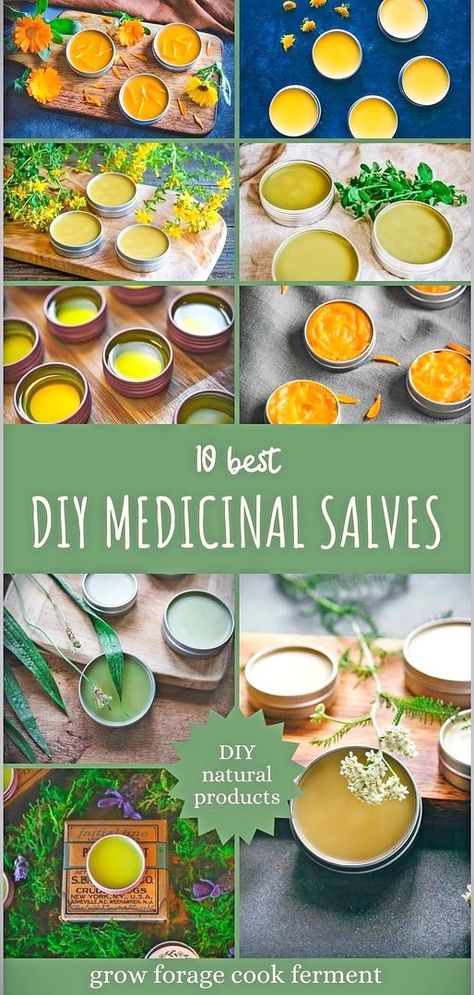 Seeking natural solutions to common skin concerns? Try these 10 DIY medicinal salves. Infused with healing herbs such as calendula, yarrow, and St. John's wort, each salve is designed to promote skin health, from soothing to rejuvenating. Unlock the secrets of best herbs for skin health and craft your own remedies. Explore more on natural remedies, homemade skin care, and herbalism for beginners at growforagecookferment.com. Herbal Salve Recipes, Homemade Salve, Salve Recipes, St John's Wort, Herbal Salves, Feel Energized, Herbal Tinctures, Herbal Recipes, Herbal Healing