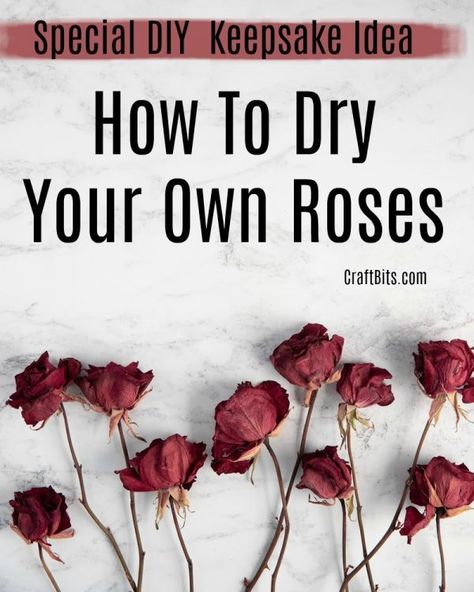 How To Dry Your Own Roses — CraftBits.com Dried Flowers Roses, Drying Roses Upside Down, How To Dry Out Roses, Best Way To Dry Roses, How To Persevere Roses, How To Dry Roses Diy, Rose Keepsake Ideas, Old Roses Diy What To Do With, Dried Roses Decor