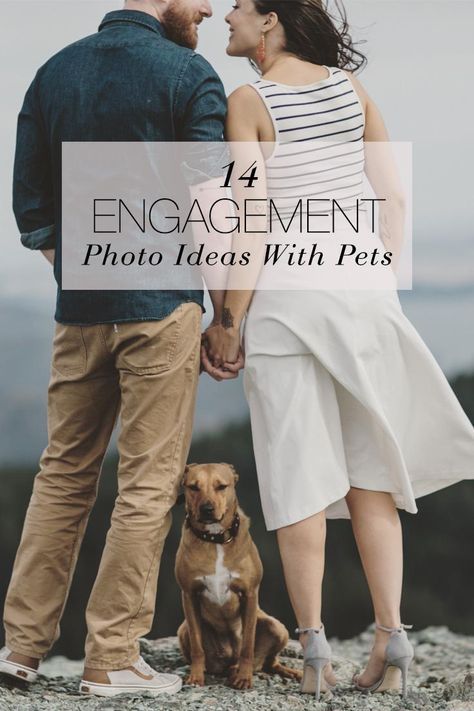 Engagement Photos Pets, Ideas For Engagement Photos, Ideas For Engagement, Save The Date Pictures, Funny Save The Dates, Engagement Announcement Photos, Cute Engagement Photos, Photos With Dog, Engagement Photo Ideas