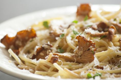 Easy recipe for Chanterelle Mushrooms. Just Chanterelles, pasta, butter, parmesan and parsley. | EatingRichly.com Chanterelle Pasta Recipe, Chantrell Mushrooms, Chanterelle Mushroom Recipes, Chanterelle Recipes, Supper Meals, Wild Mushroom Recipes, Chanterelle Mushrooms, Mushroom Recipes Pasta, Mushroom Dish