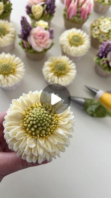 Daisy Cupcake Tutorial, Cupcake Frosting Tutorial Videos, Daisy Buttercream Flowers, How To Make Flowers Out Of Frosting, Buttercream Daisy Tutorial, Flower Design Cupcakes, How To Make Flowers On Cupcakes, Buttercream Floral Cupcakes, Bouquet Cupcakes Ideas