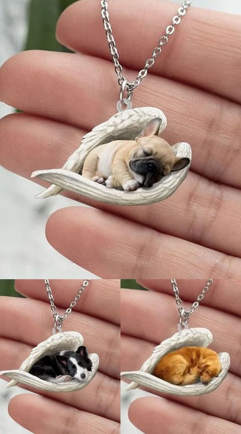 💥 ✨ Let your dog feel infinite warmth in its dreams, and let yourself experience endless joy and companionship in daily life. 💖🎁 Purchasing the Dog's Sleep Angel Stainless Steel Necklace is a promise to your beloved pet - a lifelong companionship and protection. Sleeping Angel, Small Puppy, Dogs Training, Dog Brain, Puppies Cute, Foto Tips, Dog Necklace, Dog Jewelry, Sleeping Dogs