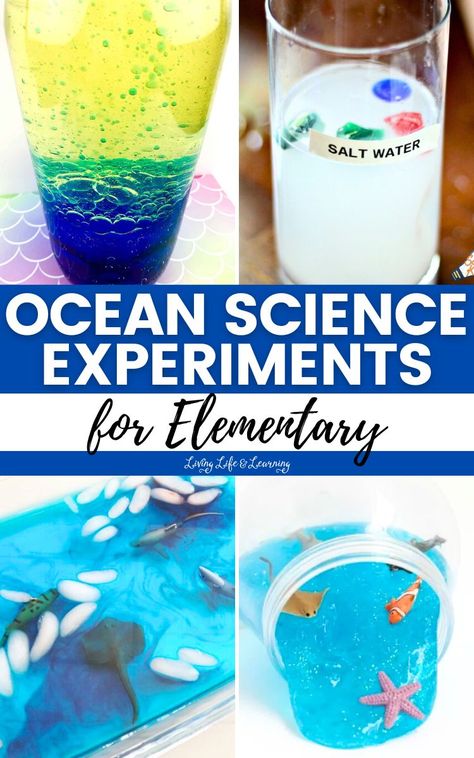 These Ocean Science Experiments for Elementary make homeschool learning about our oceanic friends an unforgettable adventure! Science Experiments For Elementary, Ocean Science Experiments, Ocean Science Activities, Elementary Science Experiments, Biology For Kids, Biology Experiments, Chemistry For Kids, Homeschool Science Curriculum, Unit Studies Homeschool