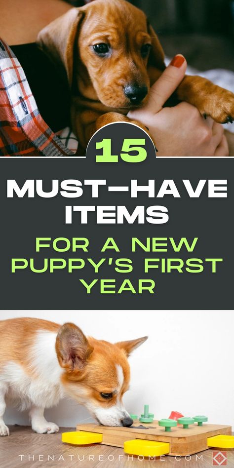 Ensure your new puppy has everything they need for a great first year with these 15 must-have items. Our guide includes training aids, comfort items, and more. Save this pin for later and be prepared for your new addition. Click to explore the essential puppy starter kit! Puppy Starter Kit, Comfort Items, Puppy Pads Training, Puppy Proofing, Teething Relief, Leash Training, Brace Yourself, Puppy Food, Training Tools