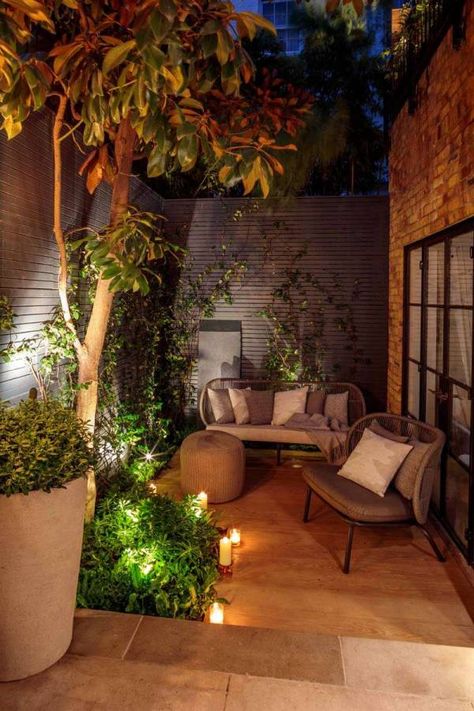 Chelsea Courtyard Garden - Cameron Concrete Courtyard Ideas, Small Courtyard Ideas, Covered Courtyard, Chelsea Townhouse, Evergreen Climbers, Courtyard Ideas, Small Courtyard, Courtyard Gardens, Chic Garden