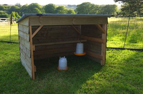 Chicken shelter Chicken Feeder Shelter, Diy Shade For Chickens, Diy Chicken Shelter, Chicken Rain Shelter, Chicken Shelter From Rain, Chicken Shelter Ideas, Hobbie Farm, Chicken Shelter, Sheep Shelter