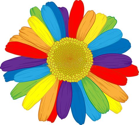 Agape Ideas, Rainbow Daisy, White Illustration, White Stock, Over The Rainbow, 8th Birthday, World Of Color, Rainbow Colors, Color Me