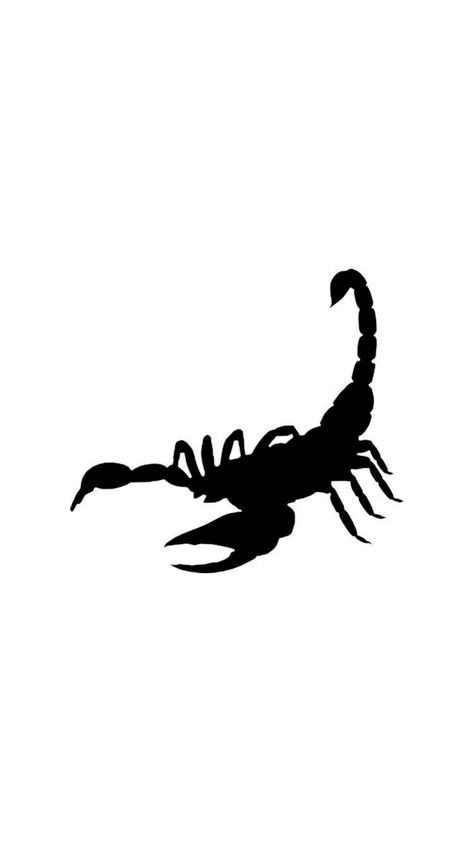 Simple Scorpion Drawing, Scorpion Drawing Simple, Black Scorpion Tattoo, Scorpion Stencil, Scorpion Silhouette, Scorpion Drawing, Tattoo Tour, Tattoo Marker, Scorpio Aesthetic