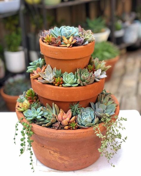 Upcycled Succulent Planters, Big Pot Plants, Big Fountain, Cactus House, Tanaman Sukulen, Kaktus Dan Sukulen, Landscape Pavers, Tanaman Indoor, Tiny Balcony