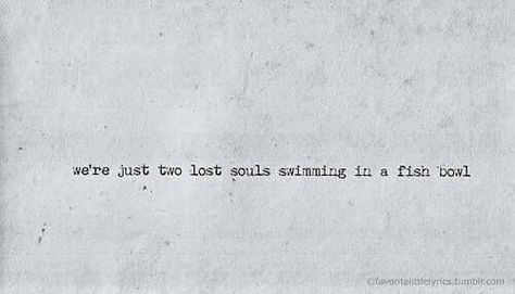 Fish Bowl Tattoo, Bowl Tattoo, Rock And Roll Quotes, Music Quote Tattoos, Two Lost Souls, Swimming Tattoo, Rock Music Quotes, Song Tattoos, Lost Souls