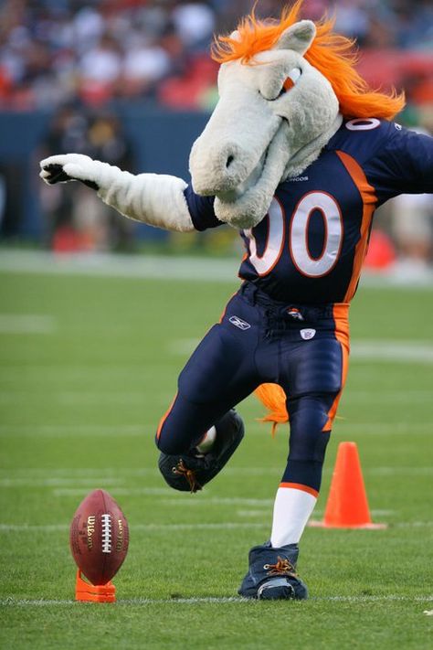 Denver Broncos mascot Miles the Bronco. The powerful horse known as Miles was born on January 31st 1999, which was the same day that the Denver Broncos won their second Super Bowl title. Broncos Win, Denver Broncos Baby, American Football League, Go Broncos, Denver Broncos Football, Broncos Football, Broncos Fans, Team Mascots, Bronco Sports