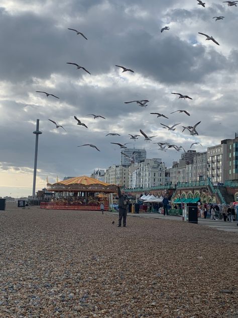 brighton england uk, aesthetic beach photo seagulls birds flying over beach, pretty rock beach england, instagram Brighton England Aesthetic, Brighton Aesthetic, Aesthetic Beach Photo, Beach England, Uk Aesthetic, London Beach, Uk Beach, English Aesthetic, Brighton Rock