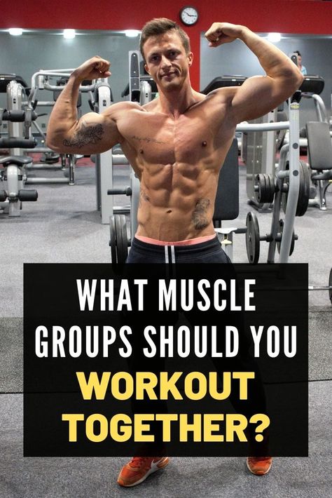 What Exercises Target What Muscles, Target Muscle Groups, Upper Body Muscle Groups, How Often To Work Each Muscle Group, Which Muscle Groups To Workout Together, Opposing Muscle Groups Workout, How Many Sets And Reps To Build Muscle, Muscles To Workout Together, Weight Lifting Schedule For Fat Loss