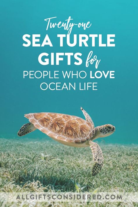 Sea Turtle Gifts, Baby Sea Turtles, Sea Turtle Bracelet, Ocean Gifts, Turtle Gifts, Beach Lover Gifts, Turtle Gift Ideas, Sea Turtle Decal, Gifts For Boat Owners