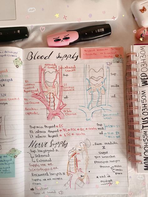 #study #studygram #studygram #studying #studymotivation #studytime #studywithme #motivation #motivationalquotes #motivational #studymedicine #medical #medicalstudent #student #studyblr #medicine #education #xford Study Room Decor Medical Student, Medical Student Study Table Aesthetic, Medical Bedroom Ideas, Medicine Pink Aesthetic, Health Student Aesthetic, Anatomy Studying Aesthetic, Doctor Studying Aesthetic, Sport Medicine Aesthetic, Sport Science Aesthetic