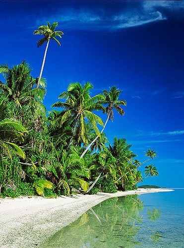 St Thomas Beaches, Cook Island, Beach Views, Palm Island, Eco Travel, Exotic Places, Kauai Hawaii, Winter Scenery, Cook Islands