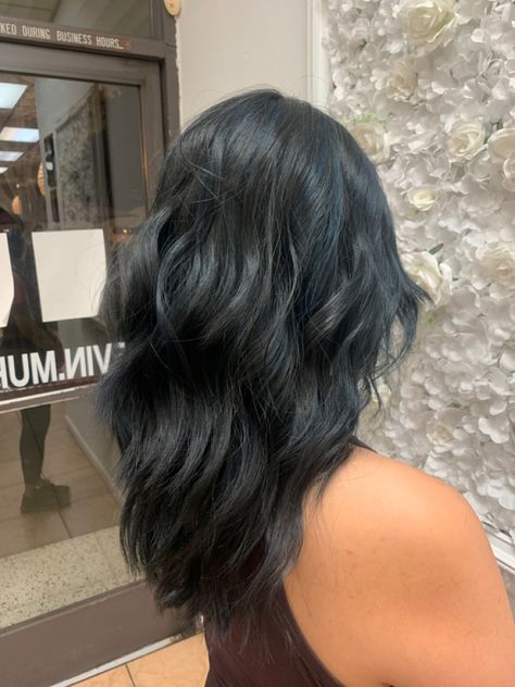 Dark Brown Hair With Blue Tint, Blue Black Hair Curly, Blueish Black Hair, Black Hair With Blue Tint, Bluish Black Hair, Ash Blue Hair, Blue Brown Hair, Impulsive Ideas, Indigo Hair