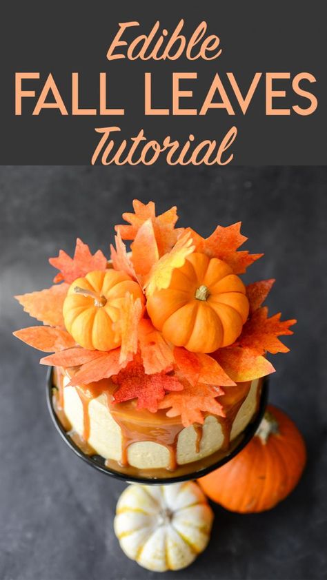 Make beautiful, edible fall leaves out of wafer paper for cake decorating. Fall Theme Cakes, Fall Leaf Cake, Leaves Cake, Buttercream Icing Recipe, Gingerbread House Recipe, Thanksgiving Cakes, Fall Cakes, Fall Wedding Cakes, Fall Cookies