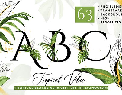 Check out new work on my @Behance profile: "Watercolor Tropical Leaves Alphabet Letter Monogram" http://be.net/gallery/165016651/Watercolor-Tropical-Leaves-Alphabet-Letter-Monogram Tropical Monogram, Watercolor Tropical Leaves, Illustration Lettering, Project Portfolio, Watercolor Tropical, Letter Monogram, Borders And Frames, Alphabet Design, Behance Project