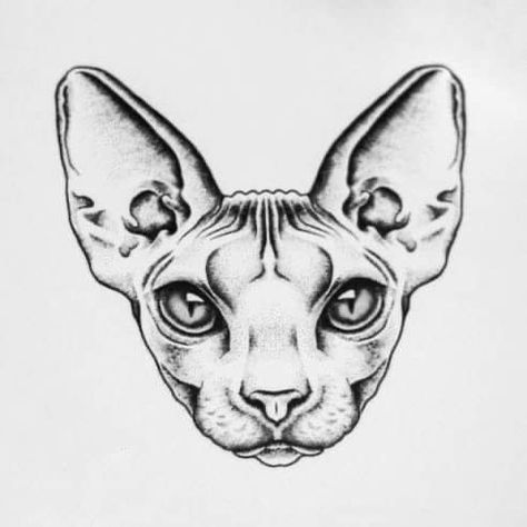 Hairless Cat Tattoo, Sphinx Cat Tattoo, Sphynx Tattoo, Sphinx Art, Snake Sleeve, Chest Tattoo Designs Female, Fantastic Tattoo, Sphynx Cat Tattoo, Sphinx Tattoo