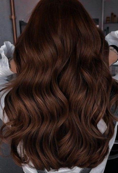 Explore a collection of 25 stunning hair color transformations perfect for brunettes. Trendy Hair Colors For Brunettes, Brown Hair Levels, Dark Golden Brown Hair, Modern Bob Hairstyles, Hair Levels, Pinterest Cute, Hair Colors For Brunettes, Colors For Brunettes, Warm Brown Hair