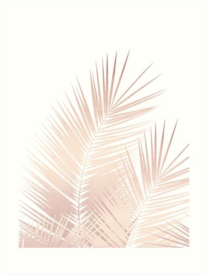 Gold Palm Leaves, Rose Gold Wallpaper Iphone, Rose Gold Ipad, Cali Summer, Rose Gold Backgrounds, Rose Gold Aesthetic, Gold Wallpaper Iphone, Wall Pics, Balloon Garland Diy