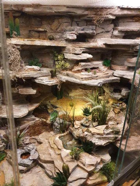 36 Leopard Gecko Enclosure Ideas Leopard Gecko Plants, Reptile Stand Ideas, Leachianus Gecko Enclosure, Aesthetic Reptile Enclosure, Bio Active Leopard Gecko Tank, Gecko Vivarium Ideas, Diy Crested Gecko Enclosure, Diy Leopard Gecko Habitat Ideas, Sand Boa Enclosure