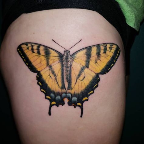 Western Tiger Swallowtail Tattoo Butterfly Tattoo Coloured, Retro Butterfly Tattoo, Yellow Monarch Butterfly Tattoo, Black And Yellow Butterfly Tattoo, Yellow Swallowtail Butterfly Tattoo, Tiger Swallowtail Butterfly Tattoo, Colour Butterfly Tattoo, Colourful Butterfly Tattoo, Butterfly Tattoo Realistic