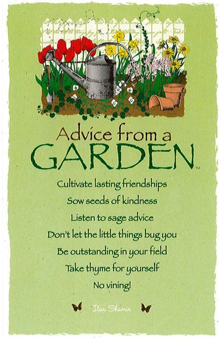 Seeds Of Kindness, Gardening Books, Garden Quotes, Advice Quotes, Nature Quotes, Spirit Guides, The Little Things, Good Advice, Organic Gardening