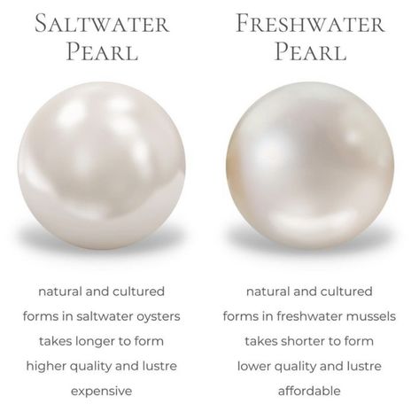 South Pacific Islands, Pacific Islands, Saltwater Pearls, Instagram Hashtags, French Polynesia, South Pacific, Natural Pearls, Fresh Water, Freshwater Pearls