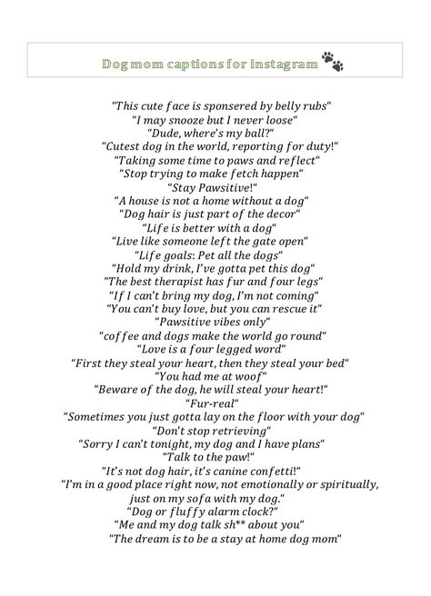 33 short captions to use on Instagram for pictures of or with your dog. Puppy Captions Instagram So Cute, Caption For Dogs Instagram Post, Dog Mom Captions Instagram, Dog Birthday Instagram Story, Puppy Captions Instagram, Playtime Quotes, Dogs Captions Instagram Cute, Happy Captions, Dog Birthday Quotes