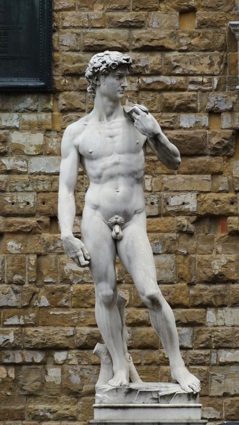 David by Michelangelo. Sculpture. . Download this photo by Hervy Jonathan on Unsplash Michelangelo David Statue, Nude Statue, Michelangelo Paintings, David Michelangelo, Art Deco Exterior, Jesus Christ Statue, Statue Of David, Male Art Reference, David Statue