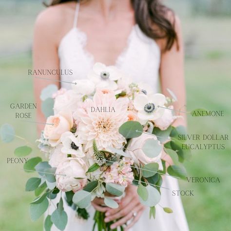 Blush Ivory Eucalyptus Bouquet, Summer Wedding Flowers Dahlia, Bridal Bouquet Summer Peonies, Blush Flower Bouquet Wedding, Pink Ranunculus Wedding Bouquet, Spring Wedding Flowers Peonies, Peony And Garden Rose Bouquet, Dahlias And Peonies, Bridal Bouquet Eucalyptus Peonies