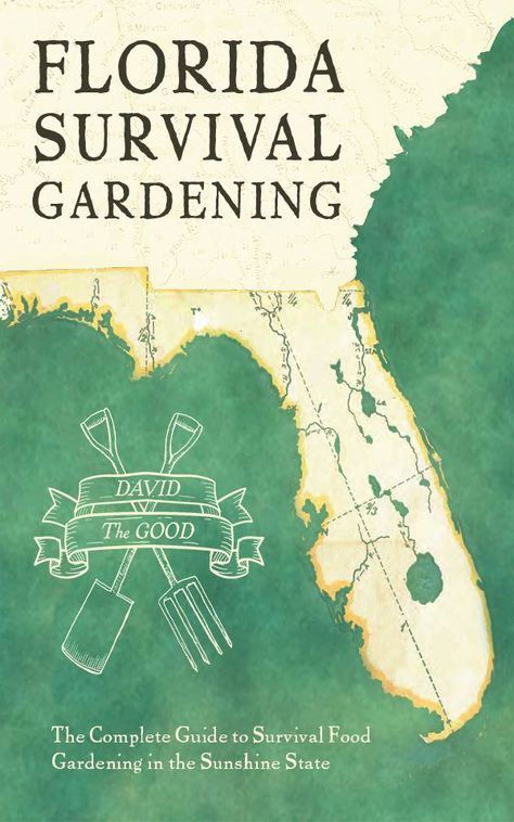 What To Plant in a Florida Orchard | The Survival Gardener Lasagna Gardening, Growing Raspberries, Moringa Tree, Survival Garden, Canna Lily, Florida Food, Florida Gardening, Survival Gardening, Food Forest